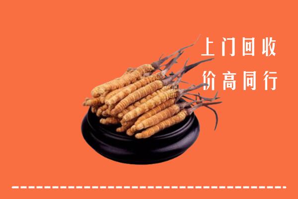 高价求购：怀化冬虫夏草回收多少钱每克