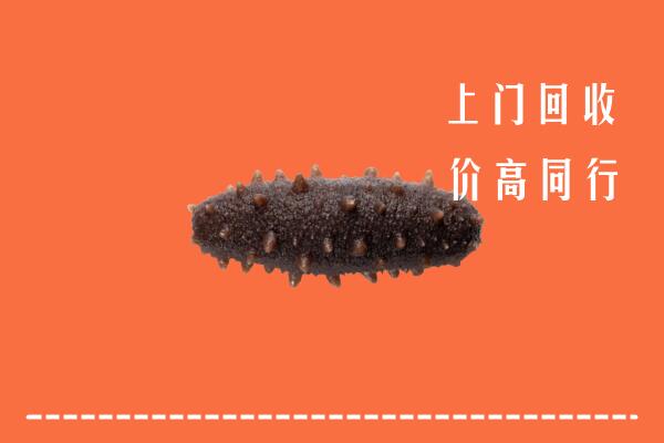 怀化高价回收海参