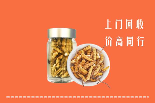 高价求购：怀化回收冬虫夏草